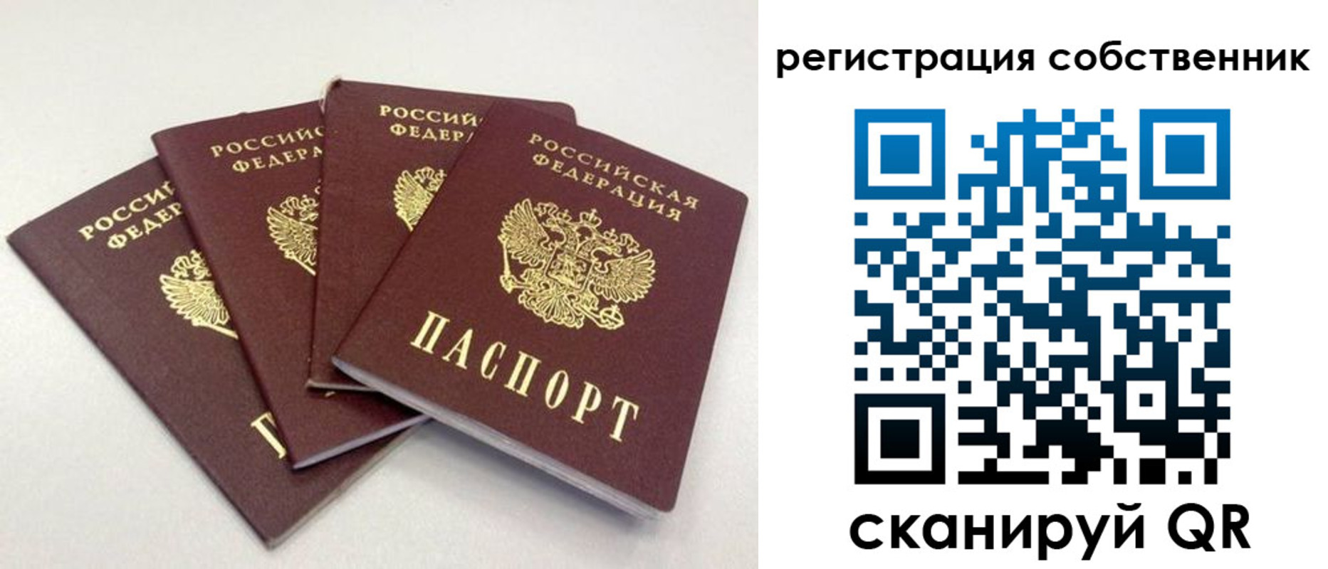 прописка для школы в Ливны
